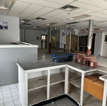  186 King Rd  Richmond Hill For Lease
