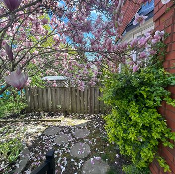 Single Family 431 Commonwealth Circle  Mississauga For Sale