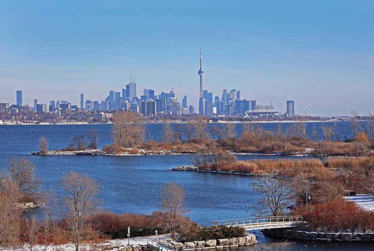 20 Shore Breeze Dr Toronto AGENT ON DUTY